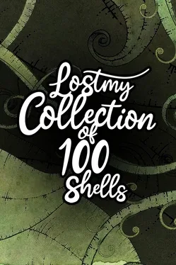 Lost my Collection of 100 Shells