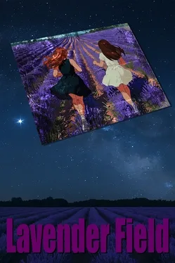 Lavender Field